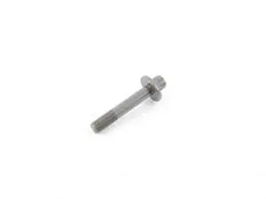 CENTRAL SCREW