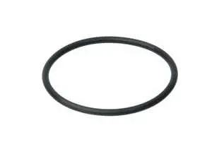 DSG Filter O-Ring 
