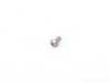 ES#89892 - 51217061955 - TORX BOLT - Genuine BMW - BMW MINI
