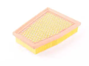 Engine Air Filter - Left