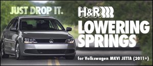 Volkswagen MKVI Jetta Lowering Springs