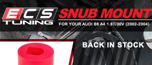 Audi B6 A4 1.8T/30V ECS Snub Mount