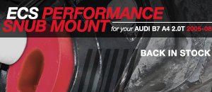 Audi B7 A4 2.0T ECS Snub Mount
