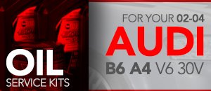 Audi B6 A4 V6 30v Oil Service Kits