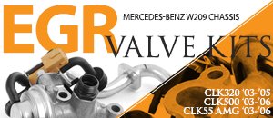 Mercedes-Benz W209 CLK 320/500/55 EGR Valve Kits