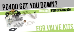 Mercedes-Benz W219 CLS500 EGR Valve Kits