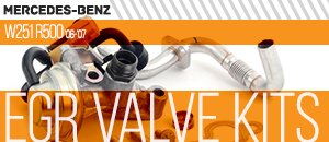 Mercedes-Benz W251 R500 EGR Valve Kits