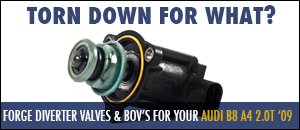 AUDI B8 A4 2.0T Forge Valves