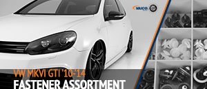 VW MKVI GTI Vaico Fastener Assortment Kit