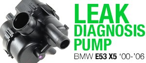 BMW E53 X5 Leak Diagnosis Pump
