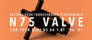 Audi B5 A4 N75 Valves