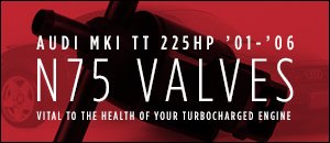 Audi MKI TT 225HP N75 Valves
