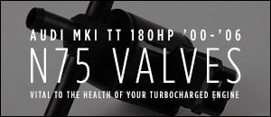 Audi MKI TT 180HP N75 Valves