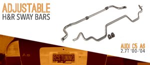 Audi C5 A6 2.7T H&R Adjustable Sway Bars