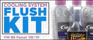 VW B6 Passat Cooling System Flush Kit