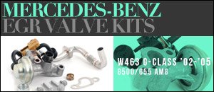 Mercedes-Benz W463 G-Class EGR Valve Kits