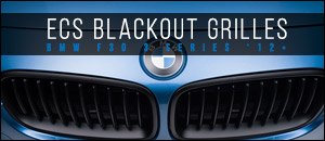 BMW F30 3 Series Black Out Grilles