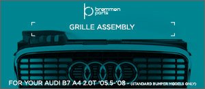 Audi B7 A4 2.0T Bremmen Grille Assembly