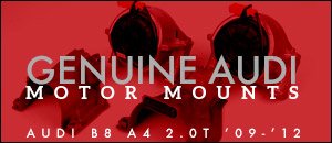 Audi B8 A4 2.0T OEM Engine Mounts