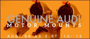 Audi B8 A5 2.0T OEM Engine Mounts
