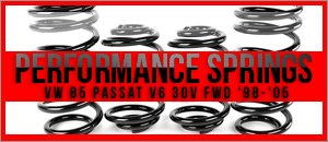 VW B5 Passat 30v V6 Performance Springs