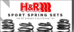 VW B7 Passat H&R Sport Springs