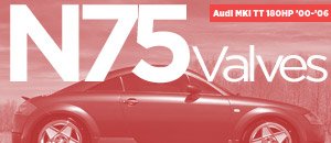 Audi MKI TT 180HP N75 Valves