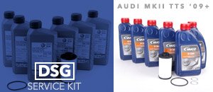 Audi MKII TTS DSG Transmission Service Kits