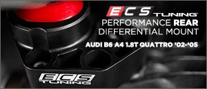 B6 A4 1.8T Quattro Performance Rear Differential Mount