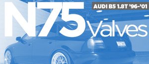 Audi B5 A4 1.8T N75 Valves