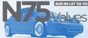 Audi B6 A4 1.8T N75 Valves
