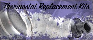 Mercedes-Benz W211 E350 Thermostat Replacement Kits