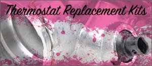 Mercedes-Benz W164 ML350 Thermostat Replacement Kits