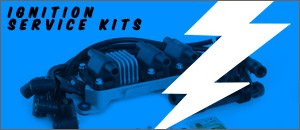 Audi B5 A4 30v ECS Assembled Ignition Service Kits