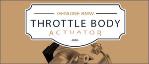 Throttle Body Actuator for your BMW E9X M3