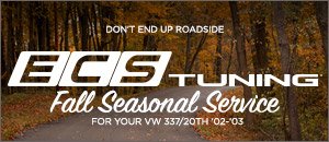 Fall Seasonal Service for your VW 337/20th