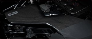 ECS Kohlefaser Luft-Technik Intake System - Audi B8 A5