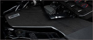 ECS Kohlefaser Luft-Technik Intake System - B8 2.0T