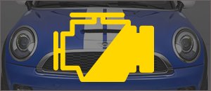 Leak Diagnosis Pump & Gas cap for your MINI