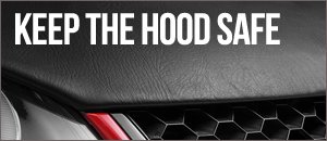 VW CC AutoBrahn Hood Bras