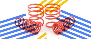 MINI Turner Motorsport/H&R Race Spring Set