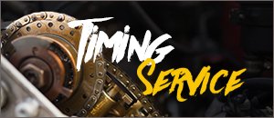BMW M62 V8 Timing Chain Kit