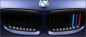 BMW E9X M3 Blackout Grilles