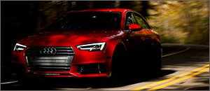 Audi B9 A4 Neuspeed Power Module