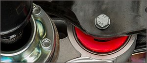 ECS Tuning Rear Diff Mount Bushing Insert | Audi B9 A4