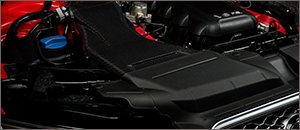 ECS Kohlefaser Luft-Technik Intake System- Audi RS5