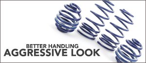 Volkswagen MK4 R32 Lowering Springs