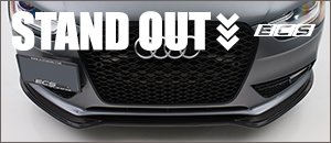 ECS Carbon Fiber Front Lip Spoiler | Audi B8.5 A4