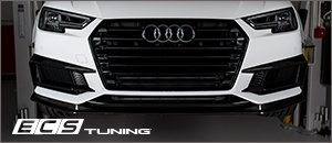 ECS Carbon Fiber Grille Overlays | Audi B9 S4