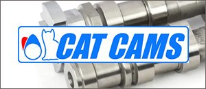 Cat Cams Now Available for your MINI